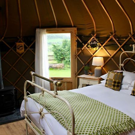 Sunbank Accommodation Llangollen Exteriör bild